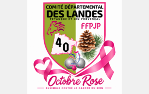 Comité des Landes pétanque